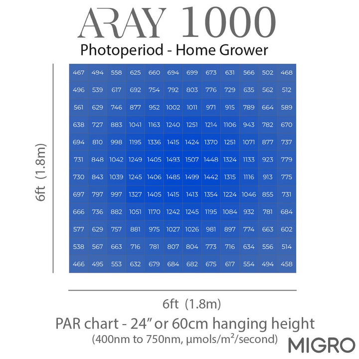MIGRO ARAY 1000 - MIGROLIGHT