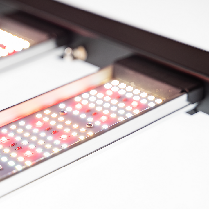 ARAY grow light LEDs