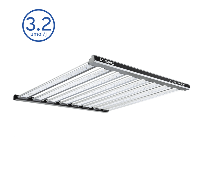 MIGRO ARAY 1000 - MIGROLIGHT