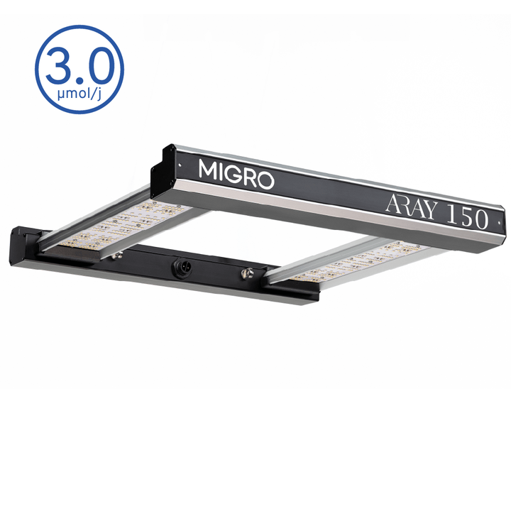MIGRO ARAY 150 - MIGROLIGHT