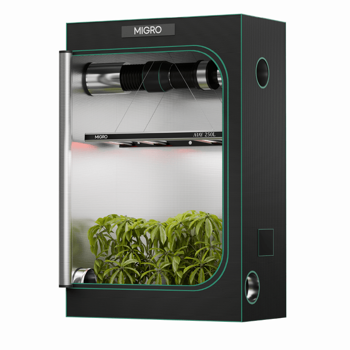 The MIGRO ARAY 250L is the optimum solution for a 4ft x 2ft or 120cm x 60cm grow tent for photoperiod flowering cannabis plants or a 5ft x5ft or 150cm x 150 cm grow space for Autoflowering cannabis plant