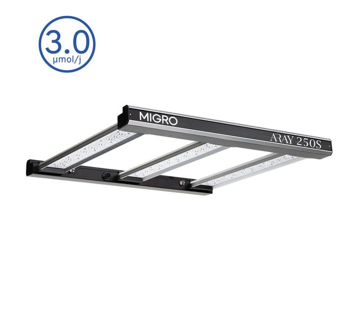 MIGRO ARAY 250S - MIGROLIGHT