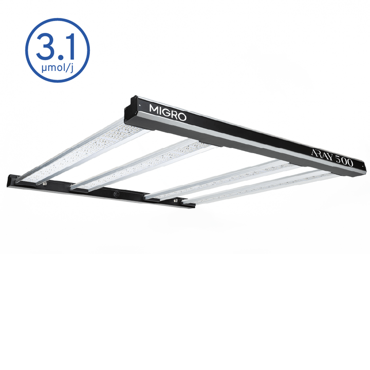 MIGRO ARAY 500 - MIGROLIGHT