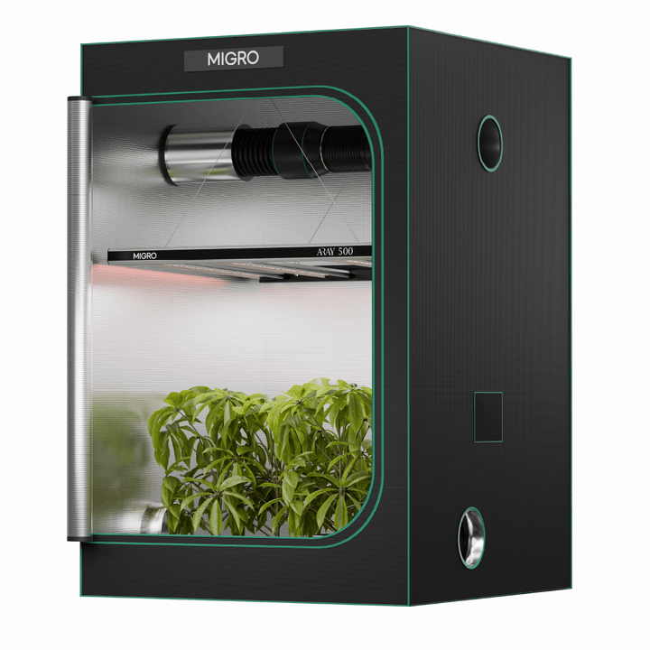 The MIGRO ARAY 500 is the optimum solution for a 4ft x 4ft or 120cm x 120cm grow tent for photoperiod flowering cannabis plants or a 5ft x5ft or 150cm x 150 cm grow space for Autoflowering cannabis plant