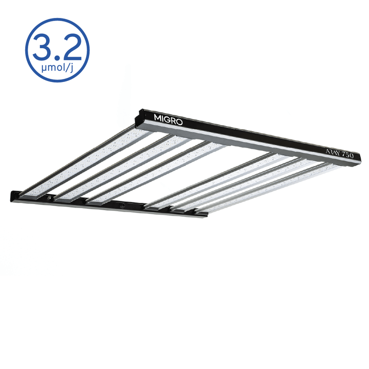 MIGRO ARAY 750 - MIGROLIGHT