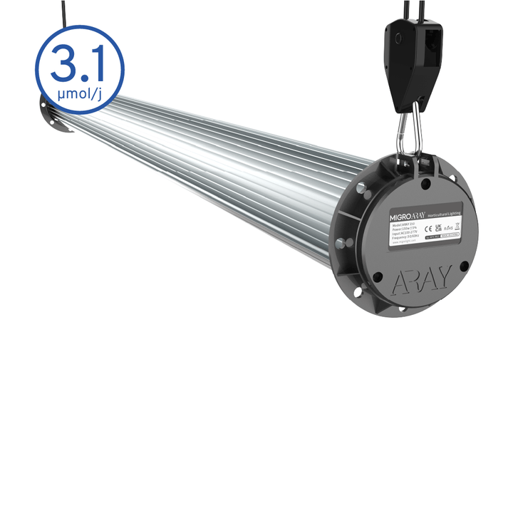 MIGRO ARAY Intra 160 - MIGROLIGHT