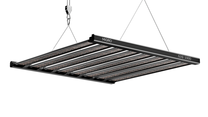 ARAY 1000 LED grow light video