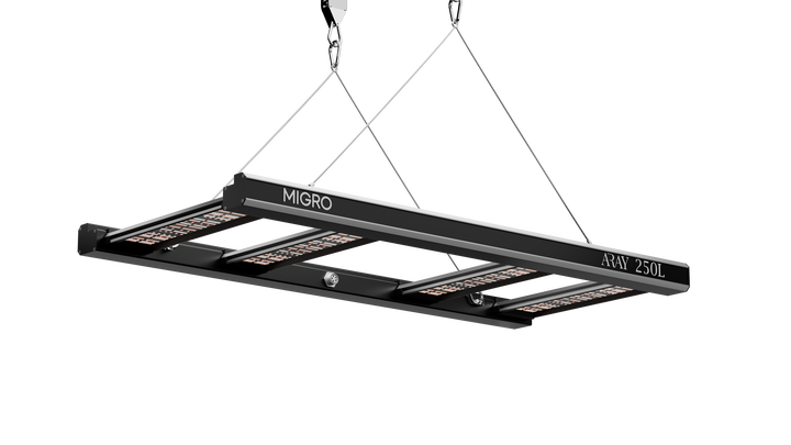 ARAY 250L LED grow light video