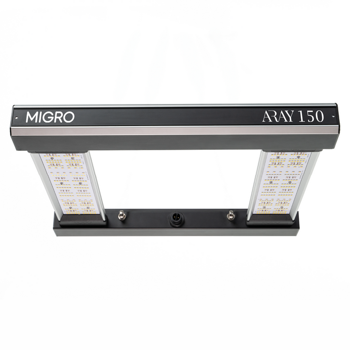 ARAY 150 LED grow light video
