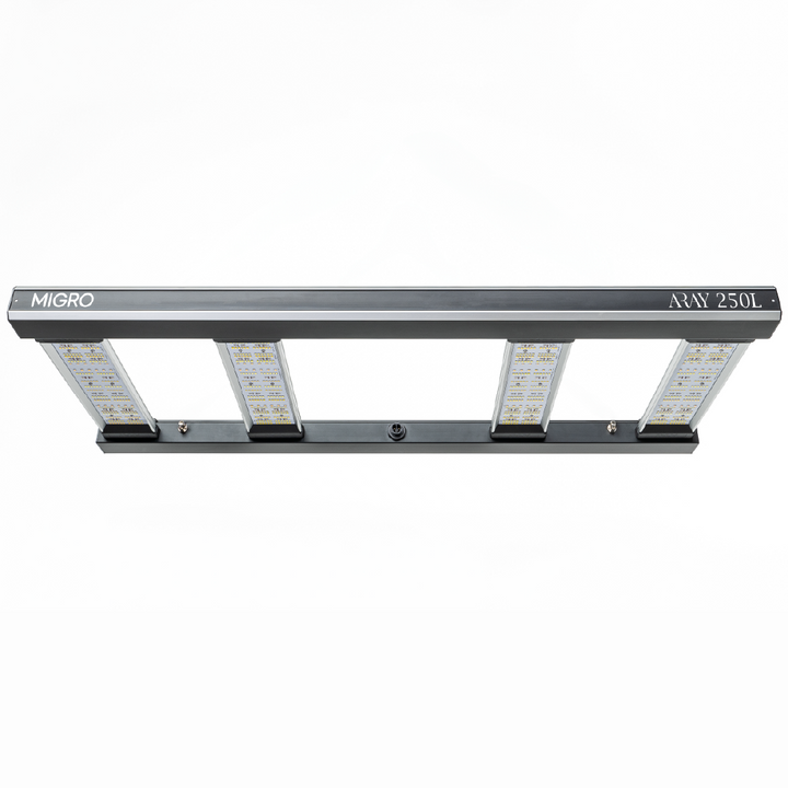 ARAY 250L LED grow light video